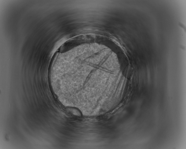 X0000096950099200803071037