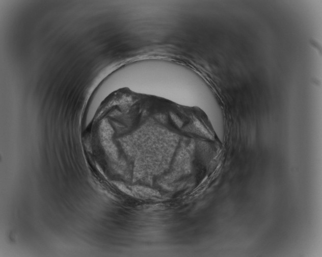 X0000096950100200803071037