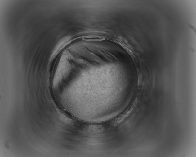 X0000096950101200803071037