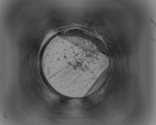 X0000096950102200803071037
