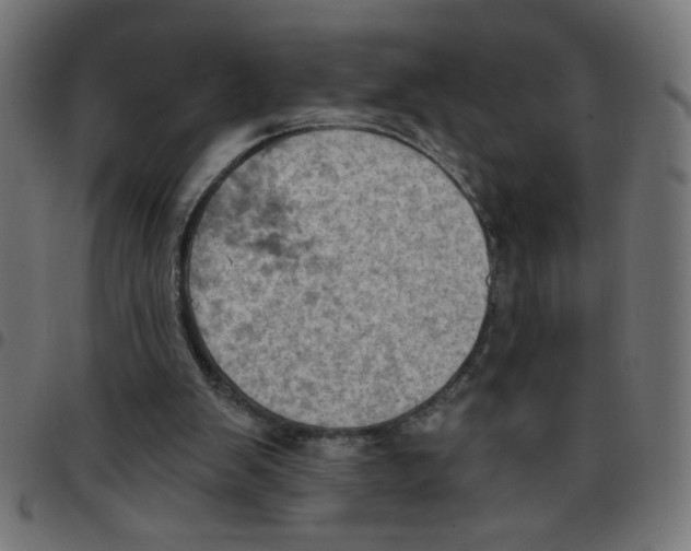 X0000096950103200803071037