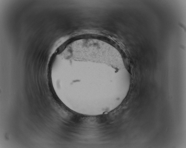 X0000096950104200803071037