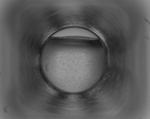 X0000096950105200803071037