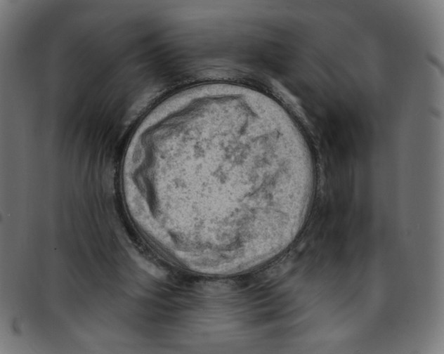 X0000096950106200803071037