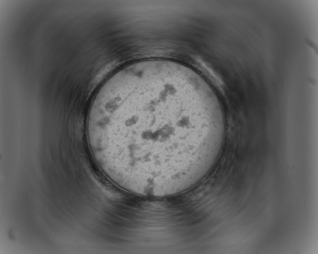 X0000096950107200803071037