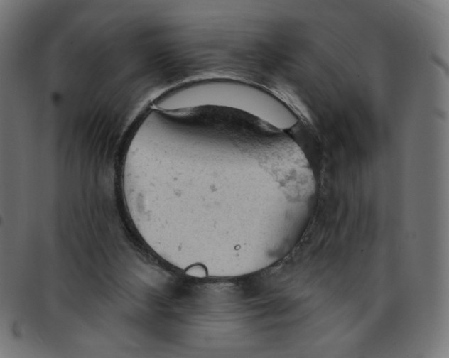 X0000096950108200803071037