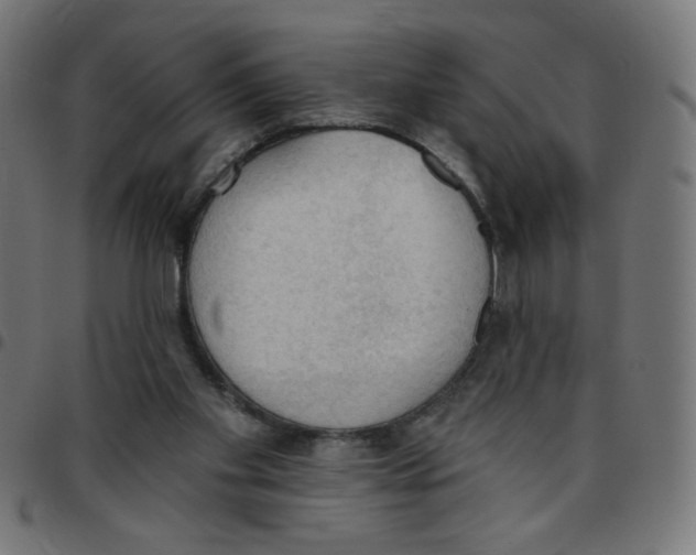 X0000096950109200803071037