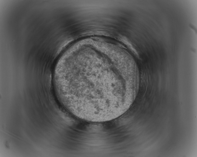 X0000096950110200803071037