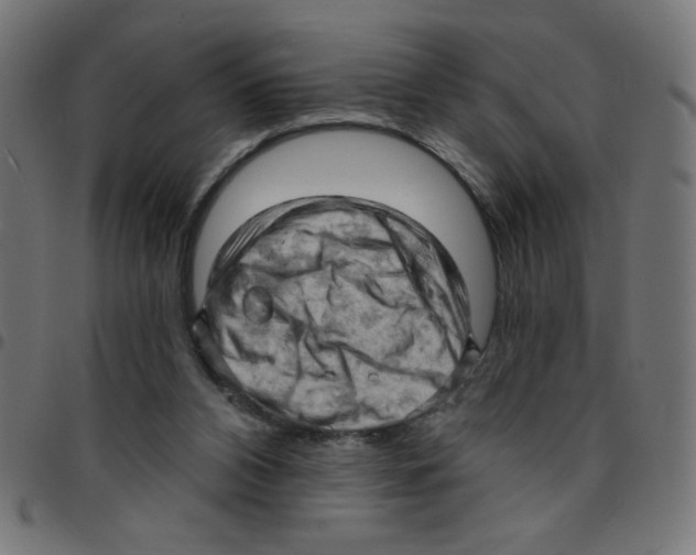 X0000096950112200803071037