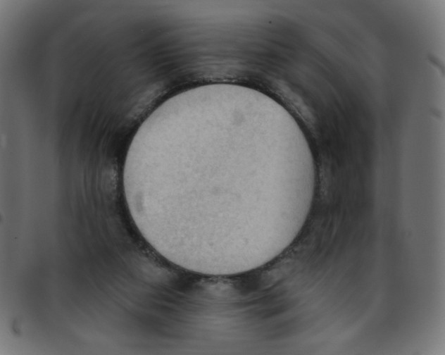 X0000096950113200803071037