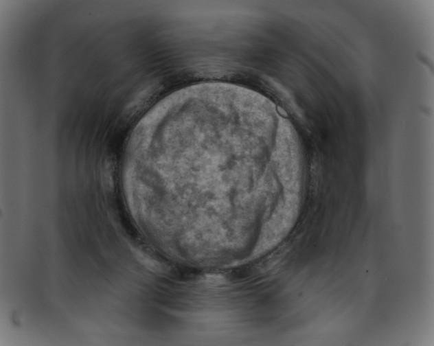 X0000096950114200803071036