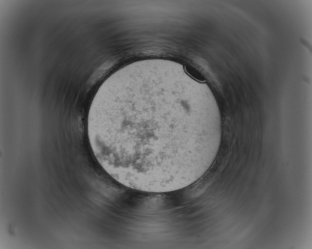 X0000096950116200803071036
