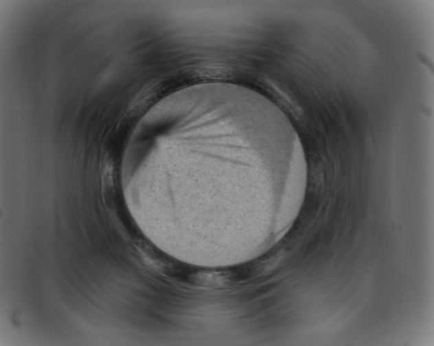 X0000096950117200803071036