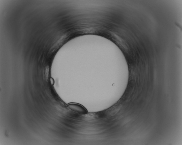 X0000096950118200803071036