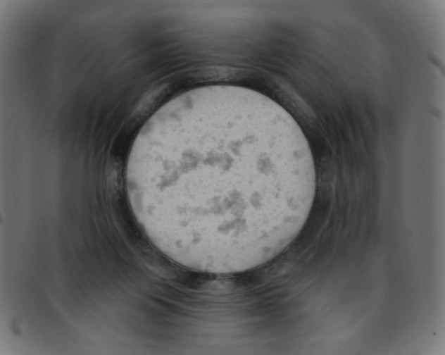 X0000096950119200803071036