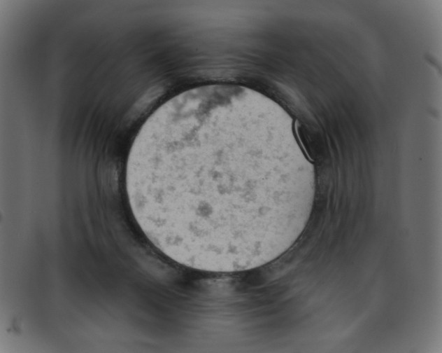 X0000096950120200803071036