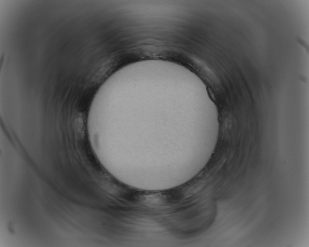 X0000096950121200803071036