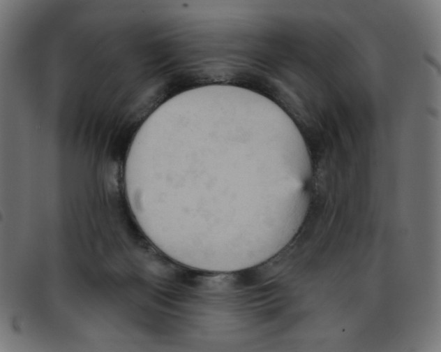 X0000096950122200803071036