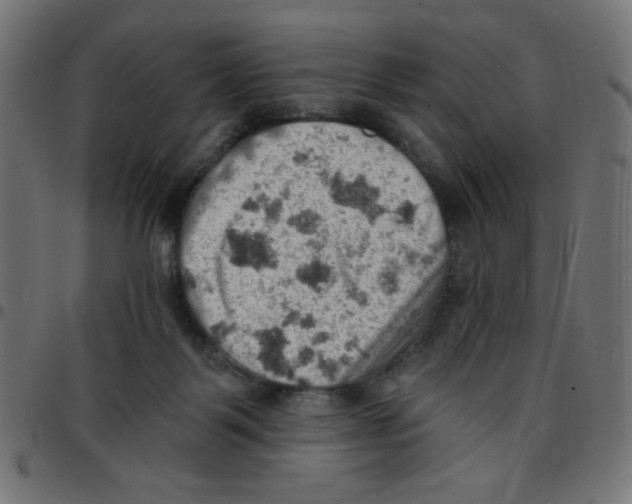 X0000096950123200803071036