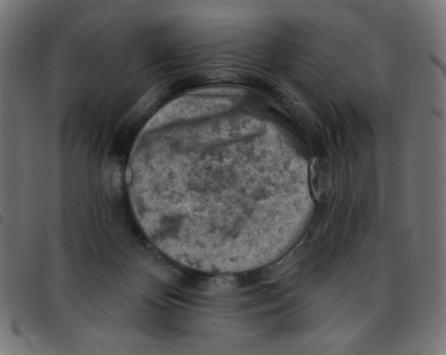 X0000096950124200803071036