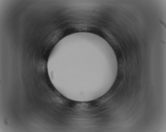 X0000096950125200803071036