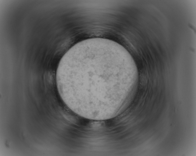 X0000096950126200803071036