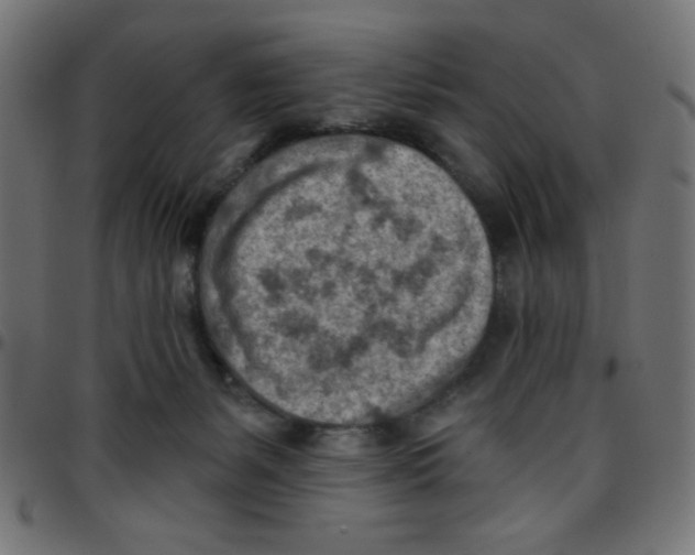 X0000096950127200803071036