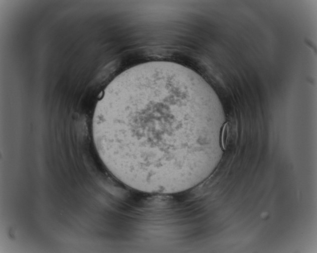 X0000096950128200803071036