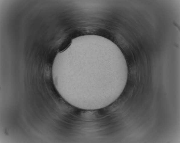 X0000096950129200803071036