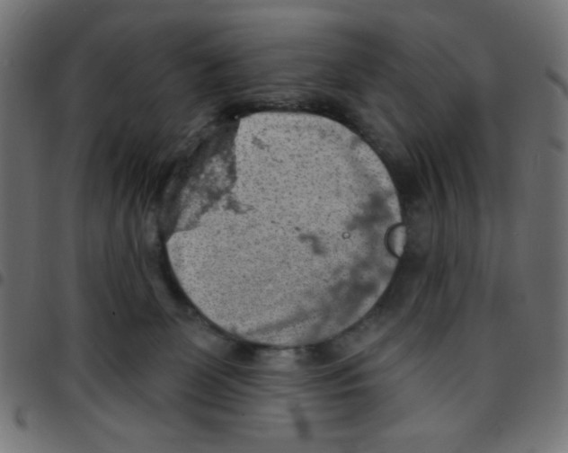 X0000096950131200803071036