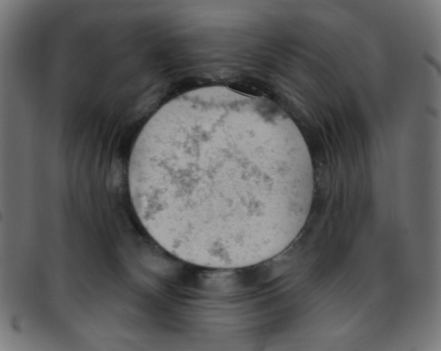 X0000096950132200803071036
