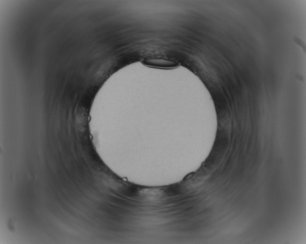 X0000096950133200803071036