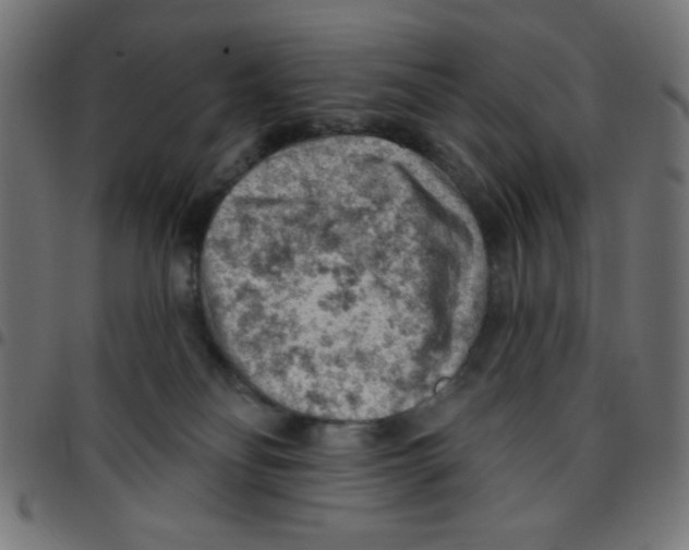 X0000096950134200803071036