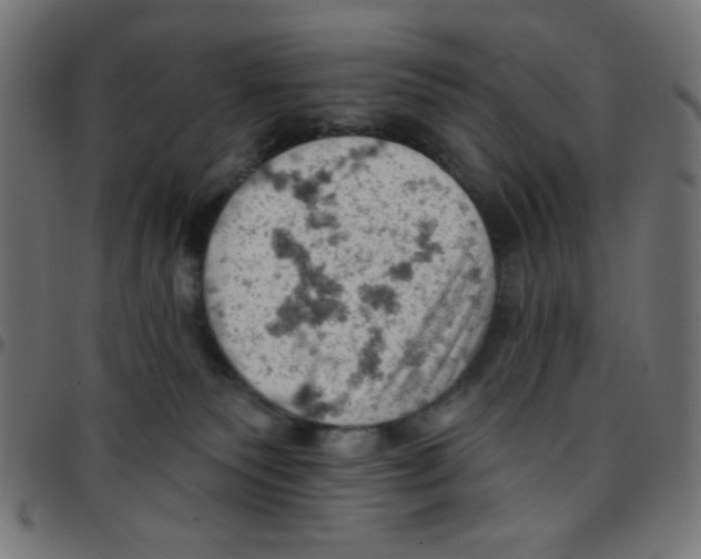 X0000096950135200803071036