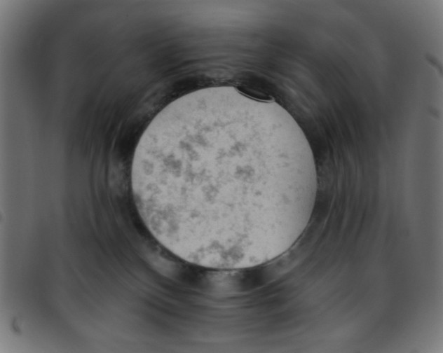 X0000096950136200803071036