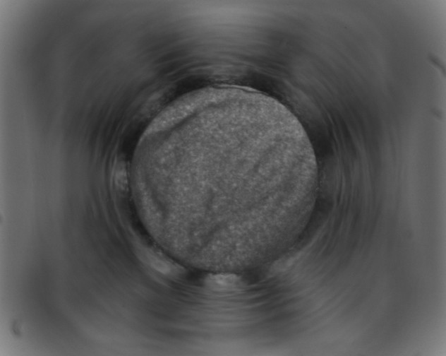 X0000096950137200803071036