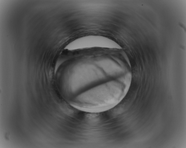 X0000096950139200803071036