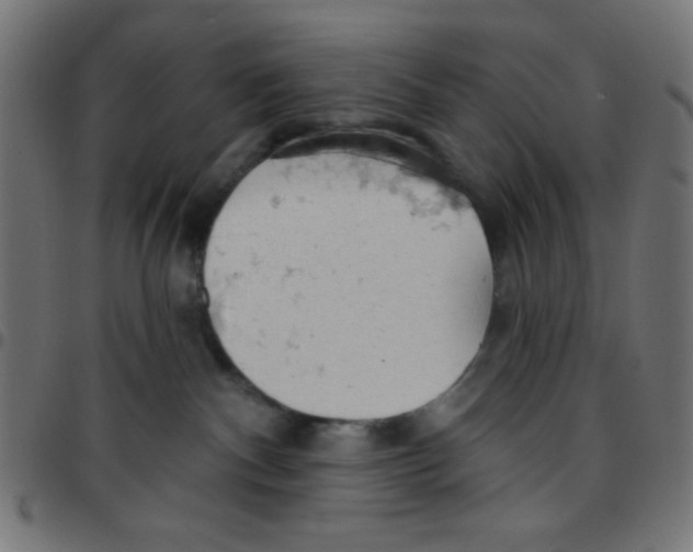 X0000096950140200803071036