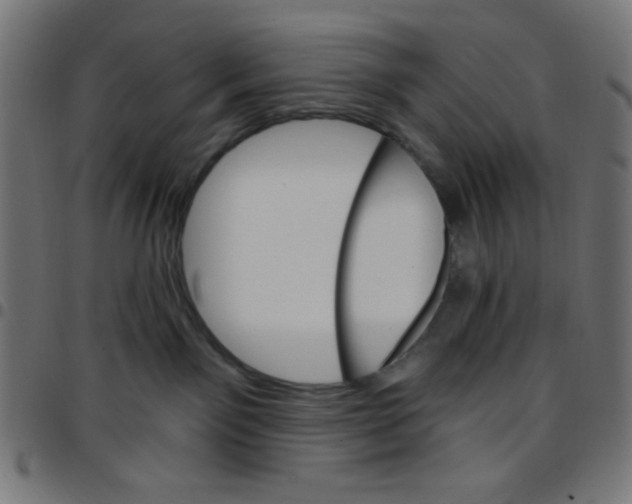 X0000096950141200803071036