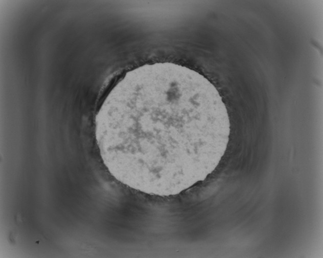 X0000096950144200803071036