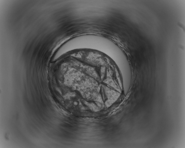 X0000096950146200803071035