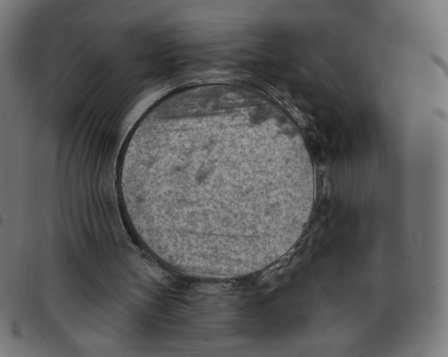 X0000096950147200803071035