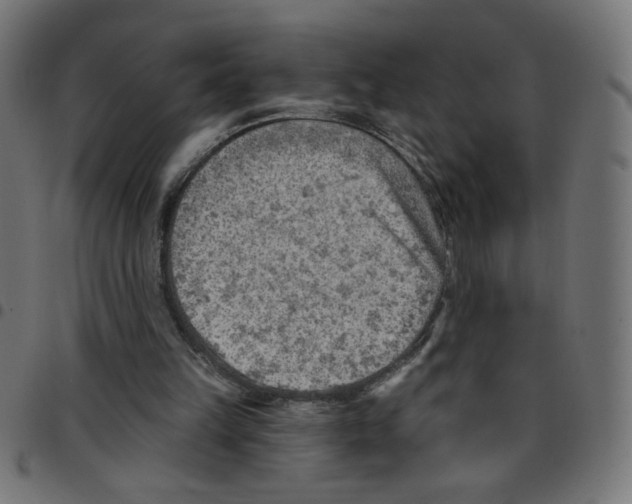 X0000096950149200803071035