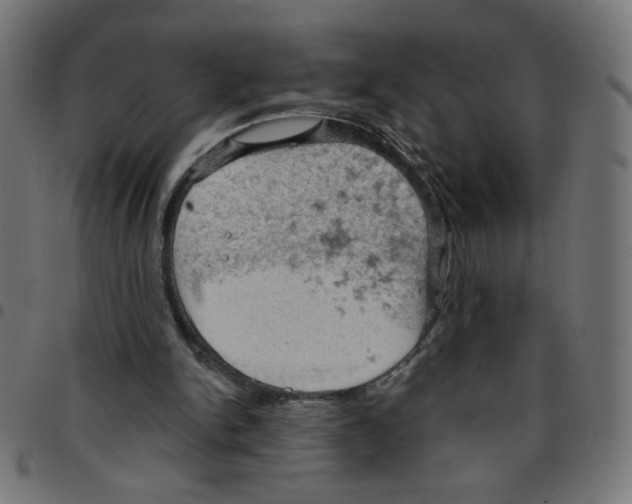 X0000096950150200803071035
