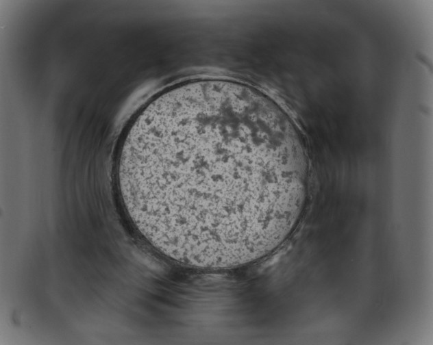 X0000096950151200803071036