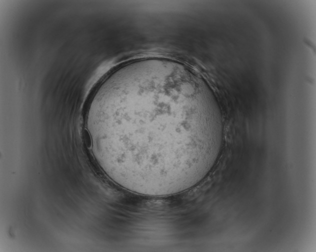 X0000096950152200803071036