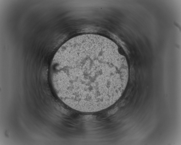 X0000096950153200803071036