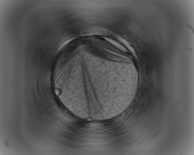 X0000096950154200803071036