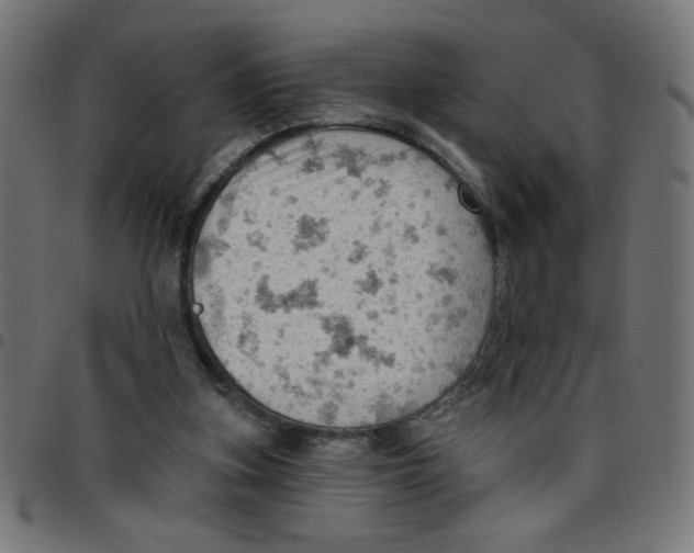 X0000096950155200803071036