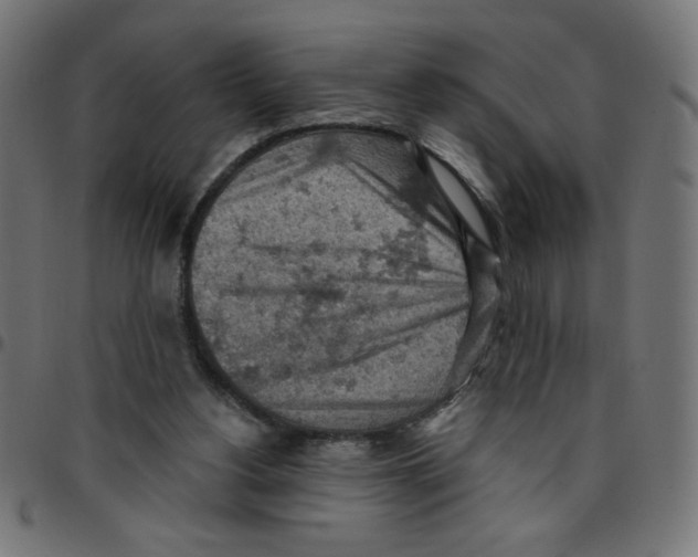X0000096950156200803071036